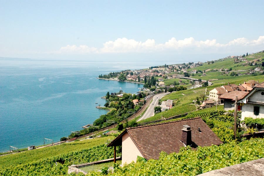Cully et le vignoble en terrasses de Lavaux au bord du Léman — taxi Lausanne–Cully, Cully Jazz Festival