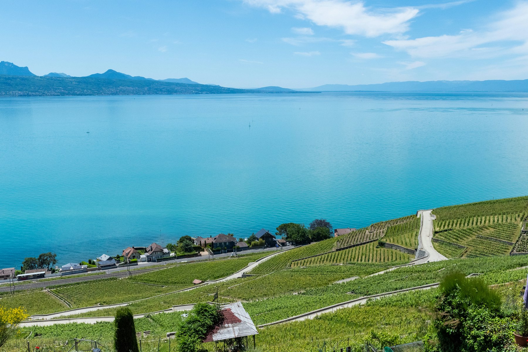 Le Léman et les vignobles de Lavaux