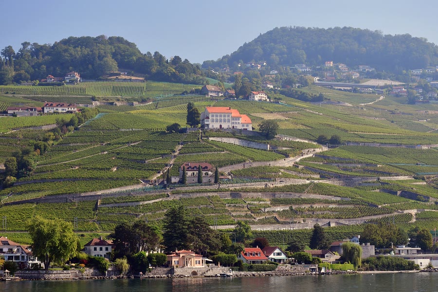 Le vignoble en terrasses de Lutry et le château de Montagny, patrimoine mondial de l'UNESCO — taxi Lausanne–Lutry