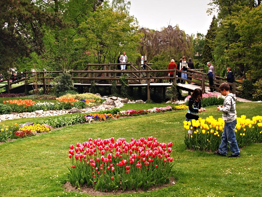 La Fête de la Tulipe au parc de l’Indépendance à Morges, massifs en fleurs et passerelle — taxi Lausanne–Morges